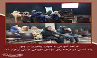  کارگاه آموزشی با عنوان پیشگیری از وفور پشه آئدس در فرهنگسرای شهدای دوراهی ایسینی برگزار شد. 