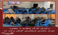 کارگاه پیشگیری از معلولیت دوران سالمندی باحضور خانواده ها در فرهنگسرای گلستان برگزار شد.