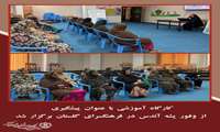 کارگاه آموزشی با عنوان پیشگیری از وفور پشه آئدس در فرهنگسرای گلستان برگزار شد