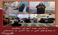 برگزاری جلسه آموزشی پیشگیری از بیماری‌های ناشی از پشه آئدس در بندرعباس