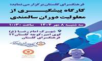 کارگاه پیشگیری از معلولیت دوران سالمندی
