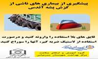 پیشگیری از بیماری های ناشی از گزش پشه آئدس