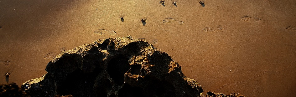 عکاس: امیرحسین خوگویی